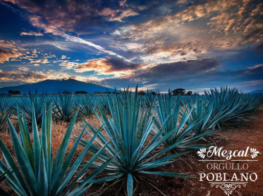Mezcal Orgullo Poblano